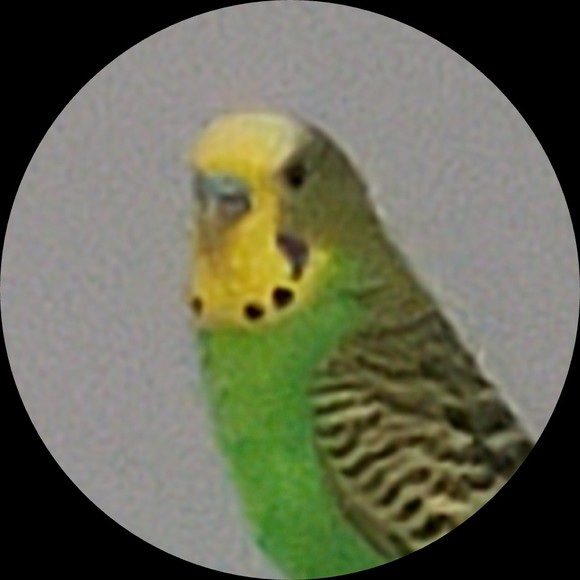 kmwalt82